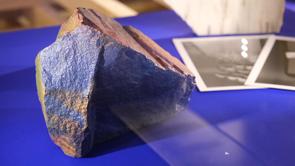 the definition of the idea_Katharina Grosse