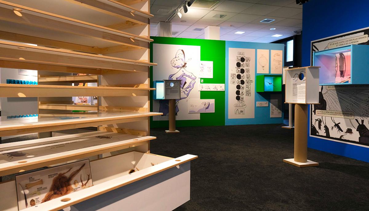 compactus Museum