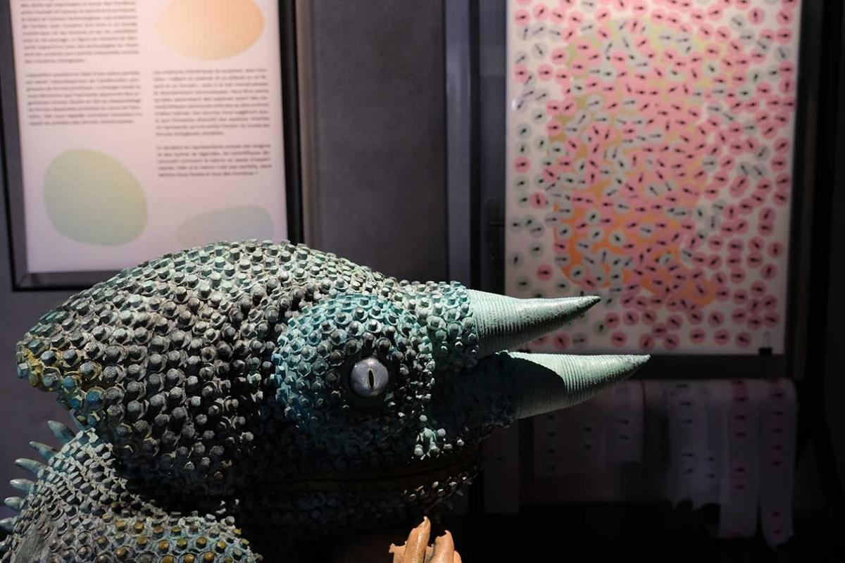 caméléon