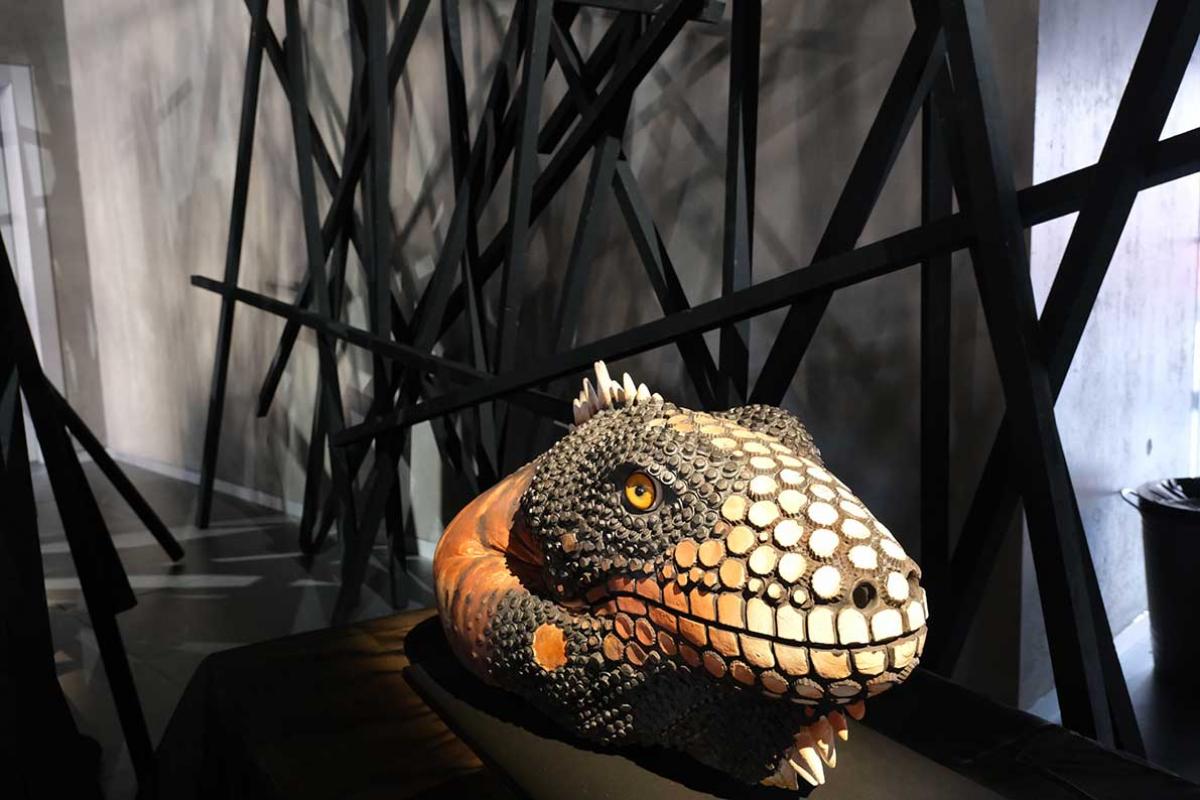 iguane